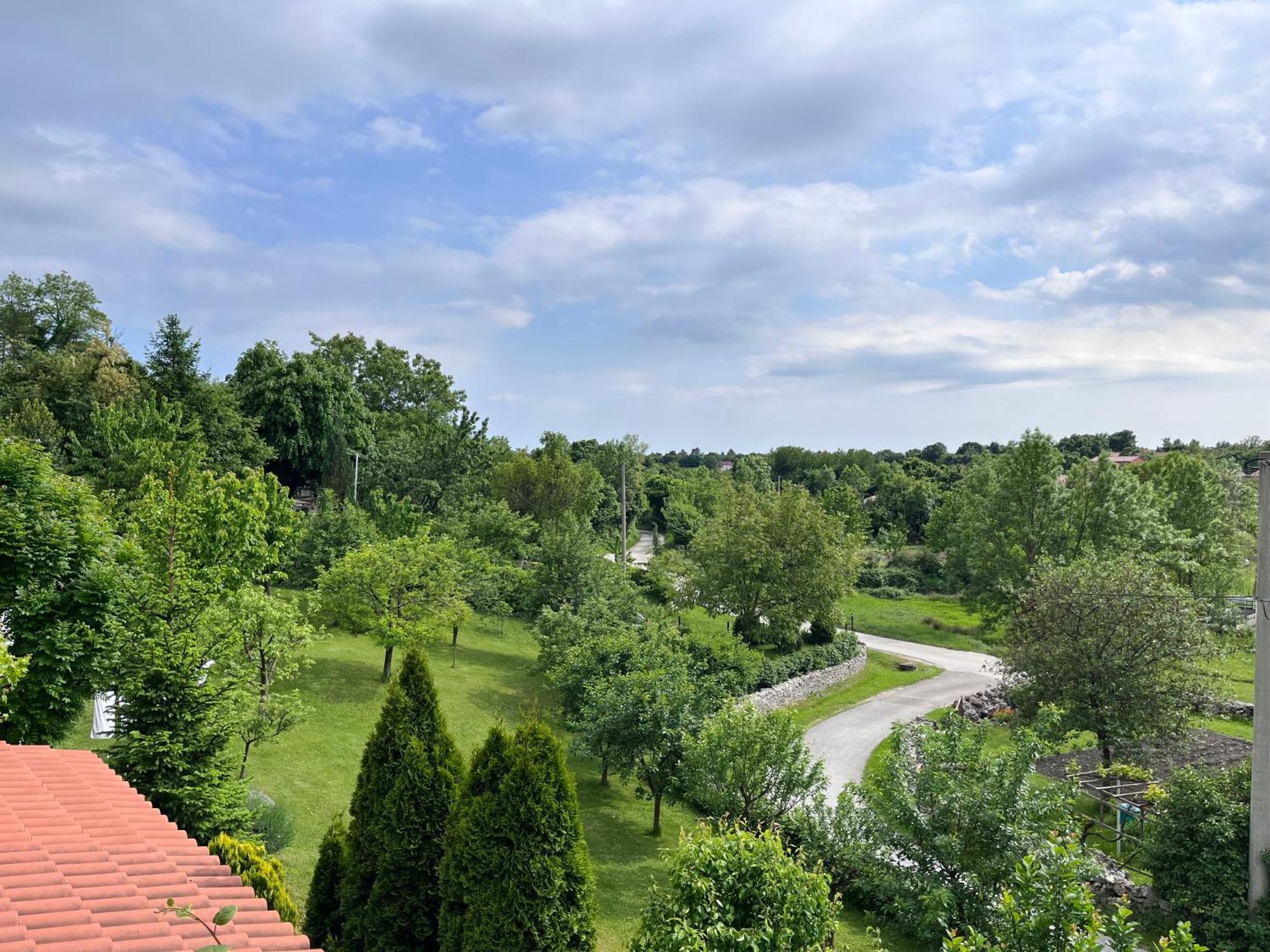 Apartment Vista Lupoglav  Экстерьер фото